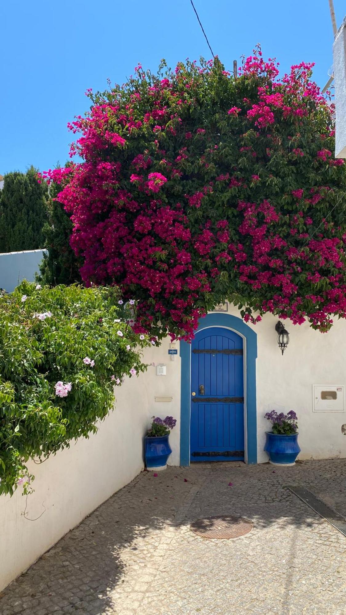 בורגאו Casa Lua Guesthouse מראה חיצוני תמונה